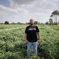 Alaaelden Saleh