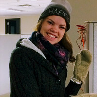 Abigail Cook