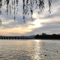 刘禹辰