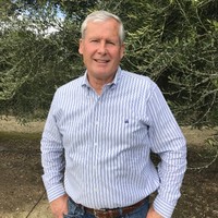 Don Cameron