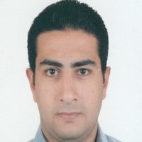 Shady Anis