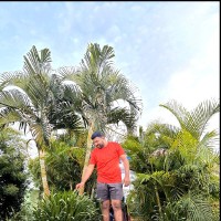 Parshuram P