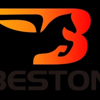 Beston Amusement rides