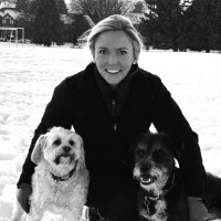 Emily A. Dowd, Jd, Llm