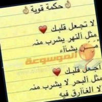 Qalbk Uae