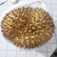 佘洪斌