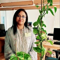 Shaila Chowdhury