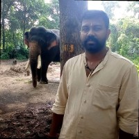 Jibin Kumar V.S