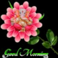 Ananthan M J