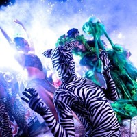 The Minx FX Event Stylists & Performance Company