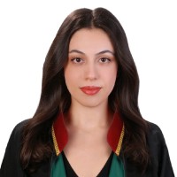 Narin Ambarkütük