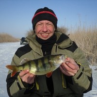 Alexey Baydarov