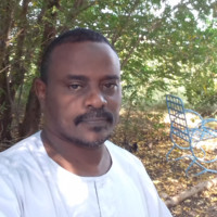 عصام علي