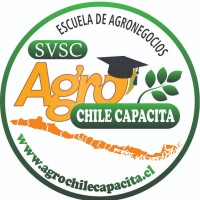 OSCAR ESCOBAR ALBORNOZ