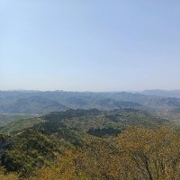 周龙龙