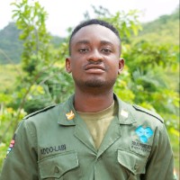 Reynolds Addo-Labi