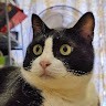 吴泽涛