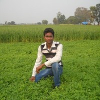Shailendra Kushwaha