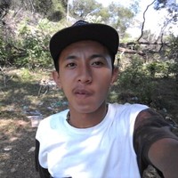 Aldy Koko