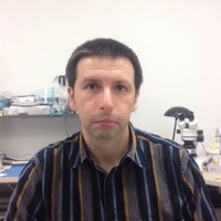 Alex Krechmer
