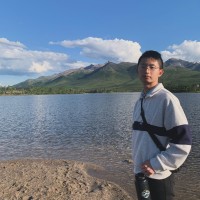 Lok Wai Lee