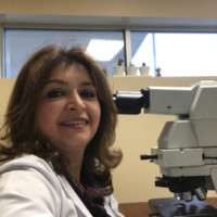 Laleh Ehsani