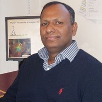 M. Yusuf Ali, Ph.D