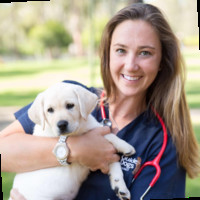 Stephanie Fenn