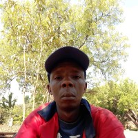 Linganiso Mzingwane