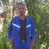Mohamed Awad