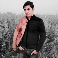 Amit Shokeen