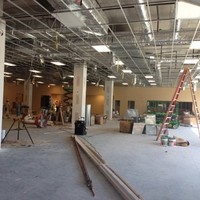 Essential Contractors