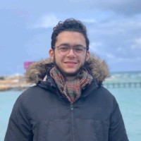 Youssef Essam