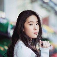 赖晓武