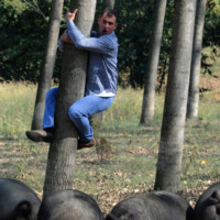 geert hoebeeck