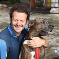 Massimiliano Accardo