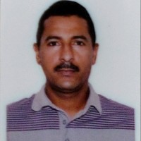 Daniel Borges