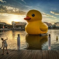 Connor Bushart