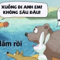 Viet Lamaa