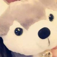 宋世俊