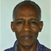 Alemayehu Bisrat