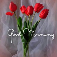 Vinod Kumar