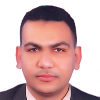 Ali Gamil