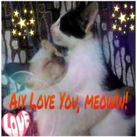 Aiy Catwoman