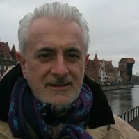 Antonio F. Picon Pereira