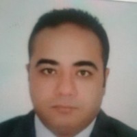 Essam Hamdi