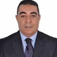 Medhat Abed El Aall-CFO-CPA