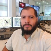 Flavio Alves Moraes