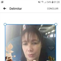 Verá Lucia Guimarães Pereira