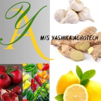 M/S Yashika Agrotech Fruits  and Veg business